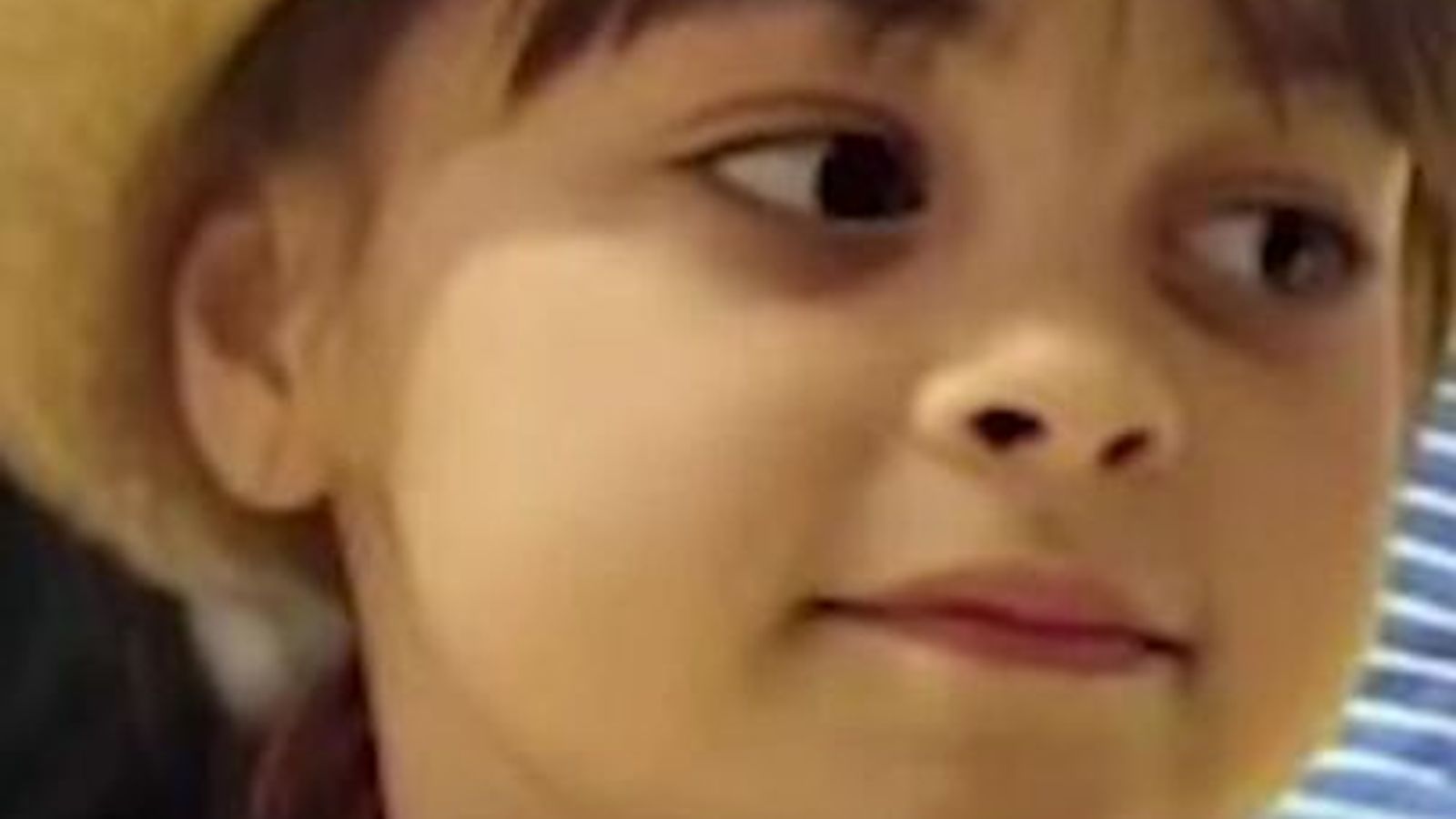 Eightyearold Saffie was 'badly let down' at Ariana Grande concert