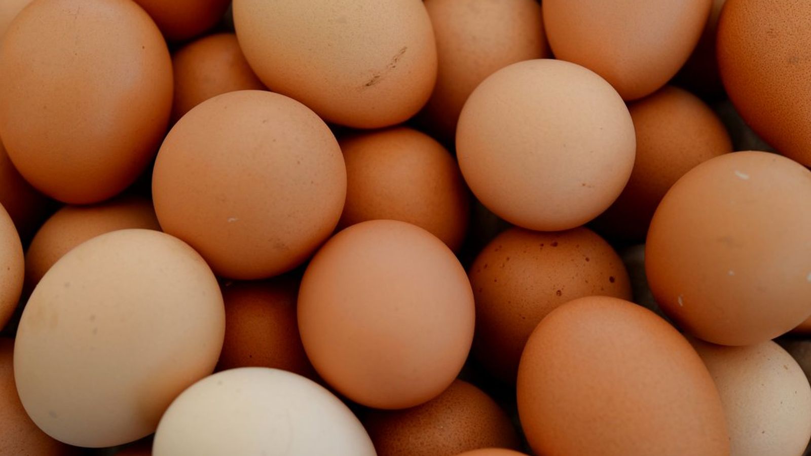Egg shortages 'could just be the start' as UK is 'sleepwalking' into food supply crisis, farmers union warns