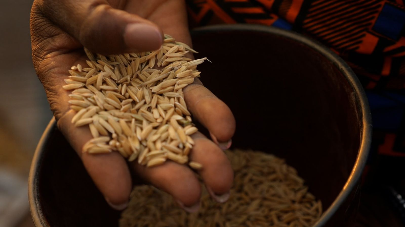 Destroyed Rice Millions of Nigerians face starvation in the wake of the worst floods ...