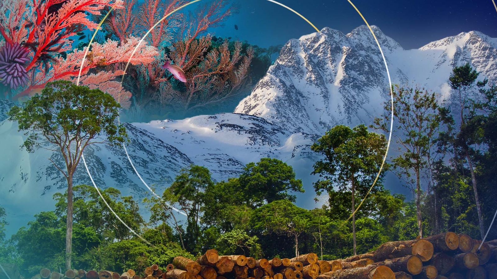 The tipping points that could trigger global climate catastrophe