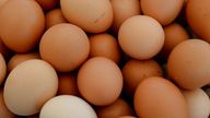 Eggs, Germany, 25. June 2014. Photo by: Frank May/picture-alliance/dpa/AP Images