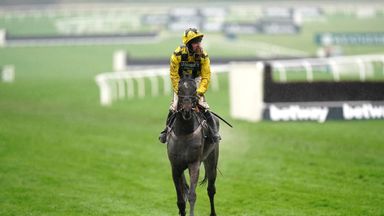 Could Shishkin be reinvented as a Gold Cup contender?
