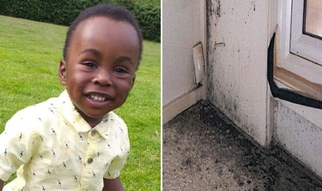 Family of Awaab Ishak killed by mould in Rochdale flat say racism played part in his death - Vimarsana News