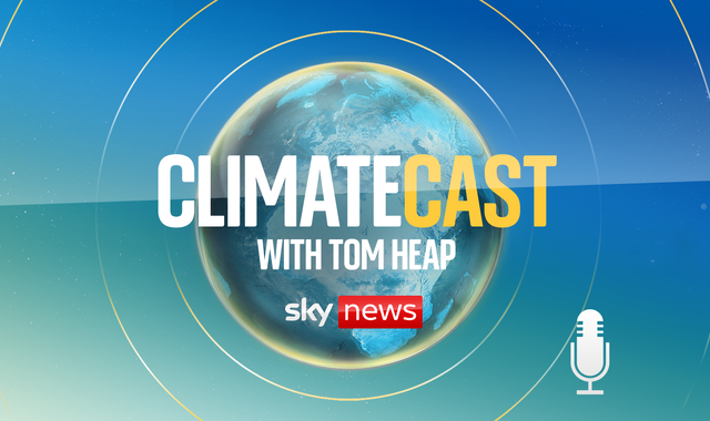Could a scotch egg help solve climate change? - Vimarsana News