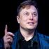 Elon Musk to 'unlock all the doors to Twitter jail' with amnesty for suspended accounts | Science & Tech News