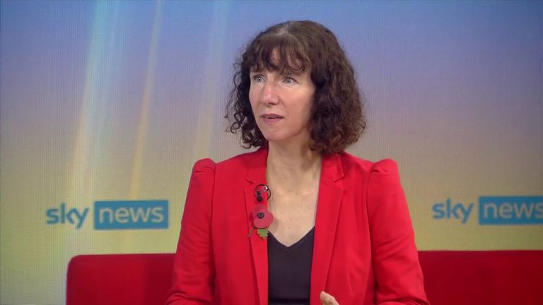 Labor Party chair Anneliese Dodds MP