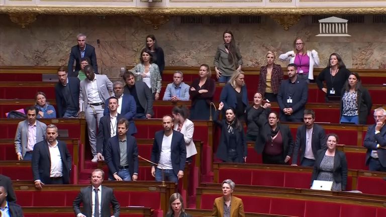 Das französische Unterhaus, nachdem ein Abgeordneter es offenbar einem anderen gesagt hatte "geh zurück nach Afrika"