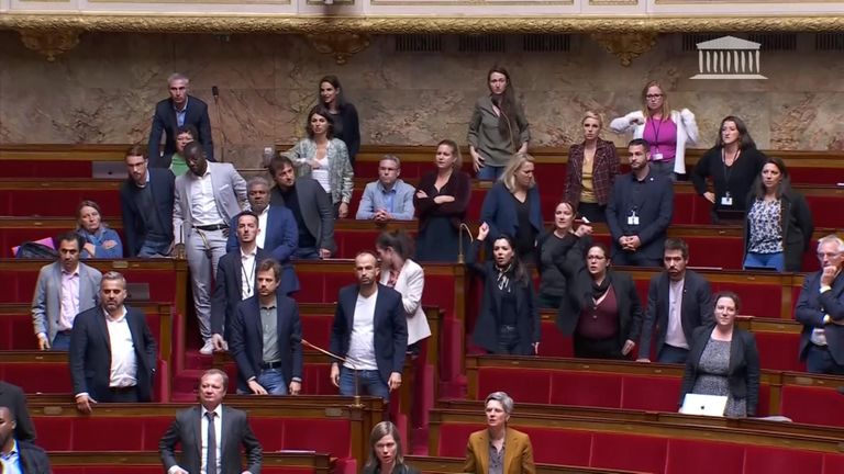 The French lower house after one MP apparently told another to "go back to africa"