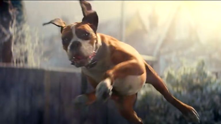 Biff as Buster the trampolining dog in the 2016 John Lewis Christmas advert. Pic: John Lewis/YouTube