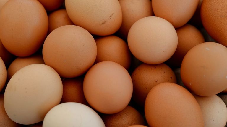 Eggs, Germany, 25. June 2014. Photo by: Frank May/picture-alliance/dpa/AP Images