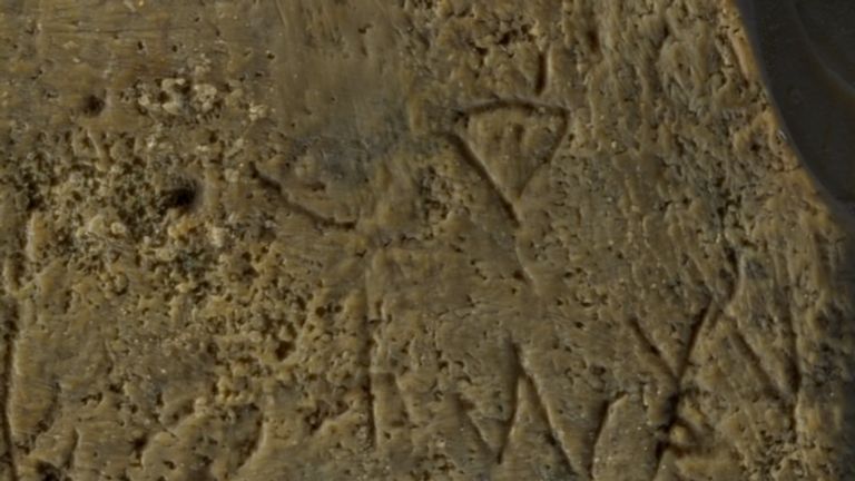 As shown.  3. Close-up of the Canaanite alphabet on the right side of the comb (Credit: Dafna Gazit, Israel Antiquities Authority).