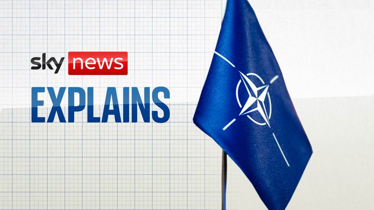 What is NATO&#39;s Article 5?