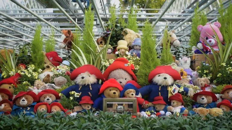 Paddington bears left in tribute to the Queen