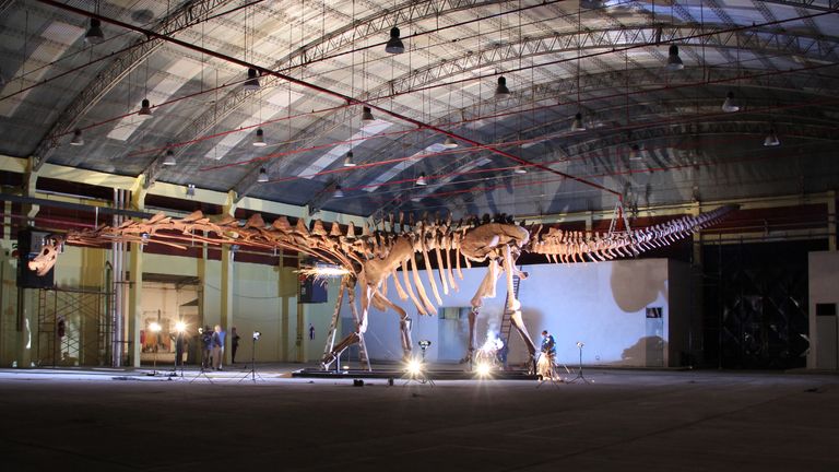 Meet the colossal dinosaur that dwarfs Dippy the Diplodocus