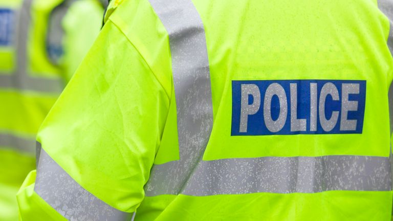 Police in hi-visibility jackets policing crowd control at a UK event