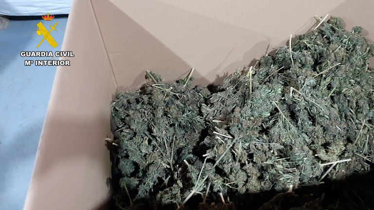 Spanish police said they seized 32 tons of marijuana with a market value of at least 64 million euros.  Photo: Guardia Civil