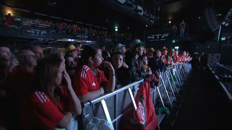 Wales fans 