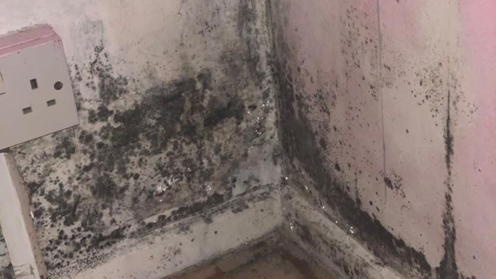 mouldy-homes-deaths-could-happen-again-warns-housing-ombudsman-uk