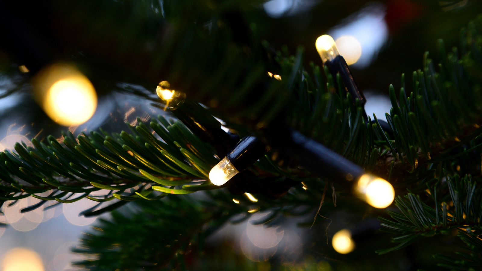 Illegal Christmas lights being sold online putting customers at risk of electric shock or fire, says Which?