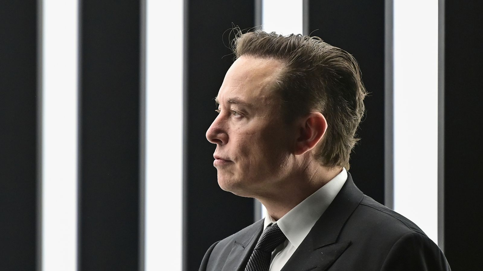 Elon Musk's medical firm Neuralink accused of welfare violations after killing 1,500 animals in four years - report
