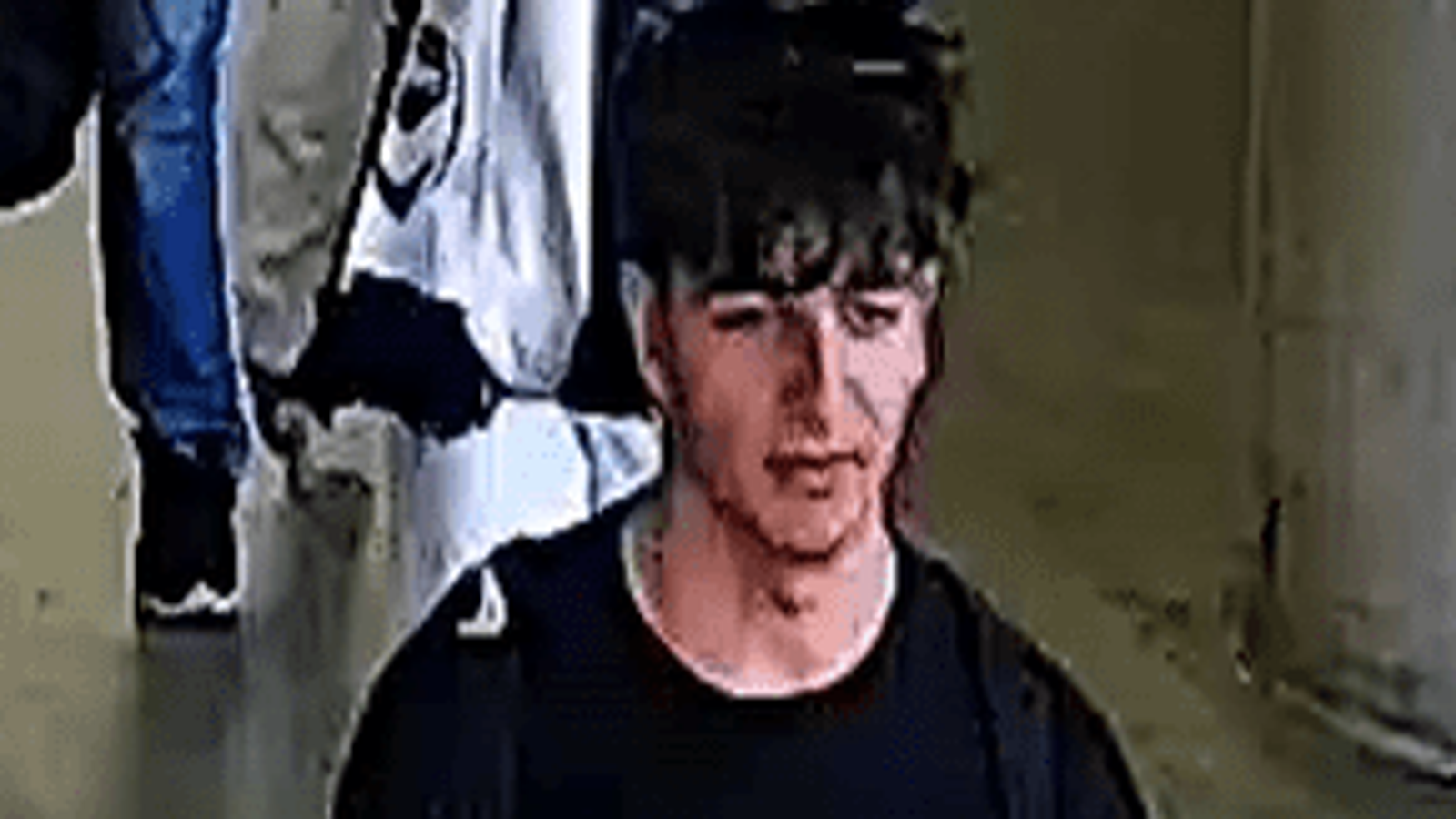 Melbourne football violence Pitch invader images released after goalie