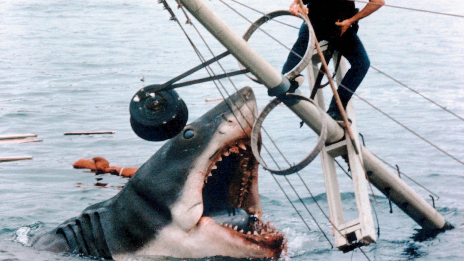 Steven Spielberg reveals Jaws 'regret' - and fears sharks could be 'mad' at him