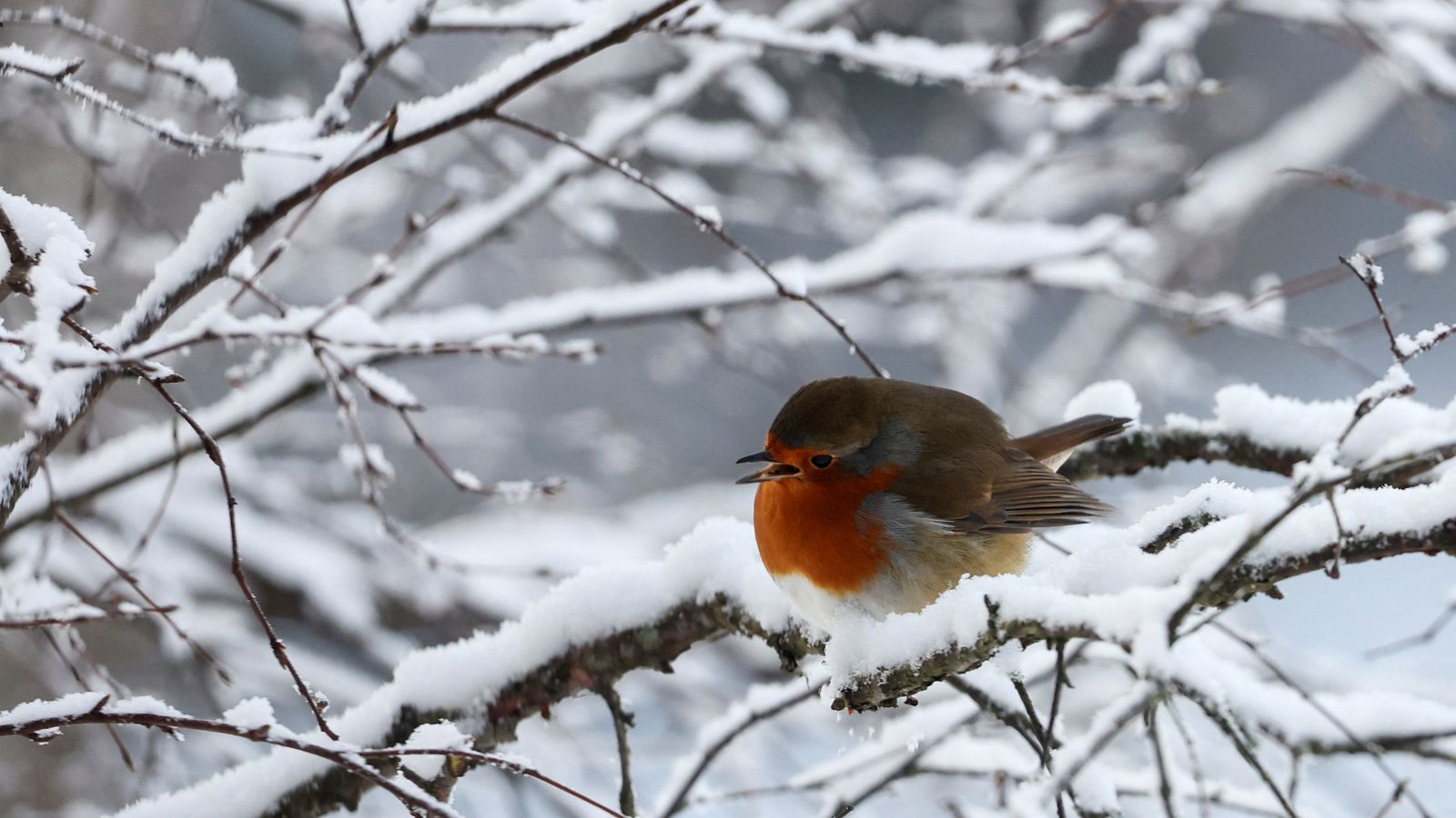 UK weather: 'Danger to life' warning as forecasters predict rare ...