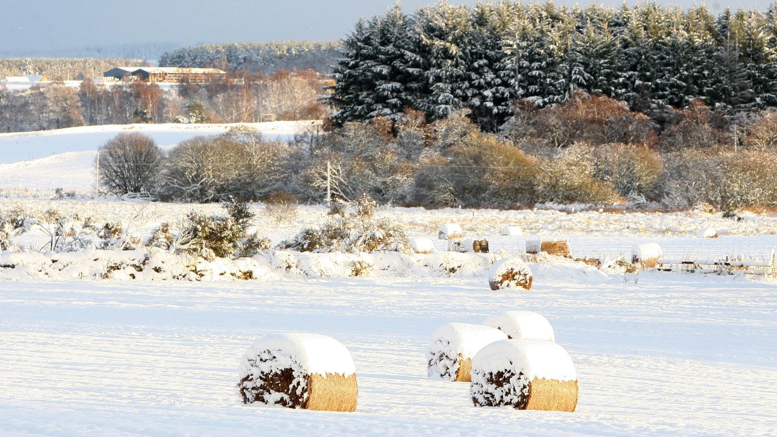 UK weather: Temperatures to dip below -8C and heavy snow for Scotland as cold snap arrives