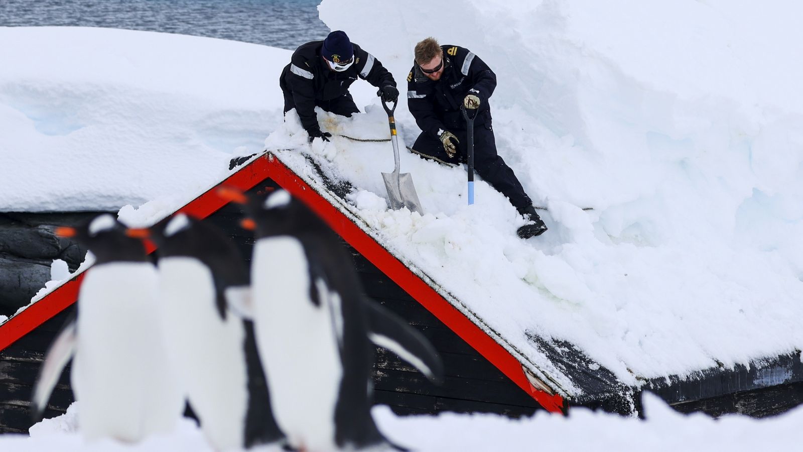 Royal Navy helps dig out world's most remote post office in Antarctic after 4m deluge of snow 
