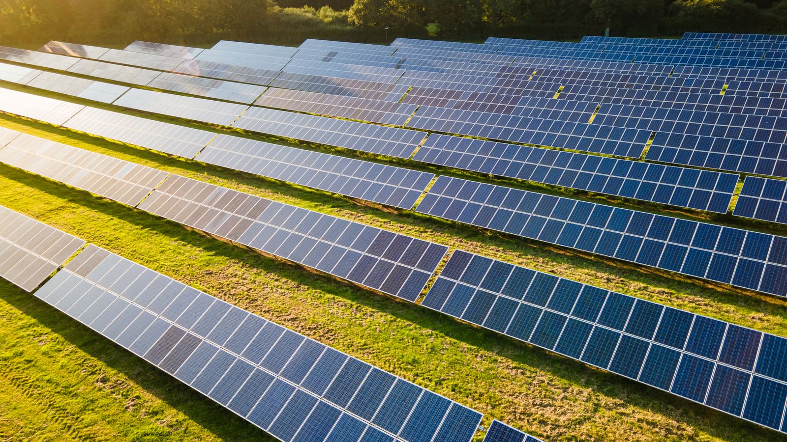 Le géant des fermes solaires soutenu par le conseil frappé de lumière sur les enchères |  Actualité économique