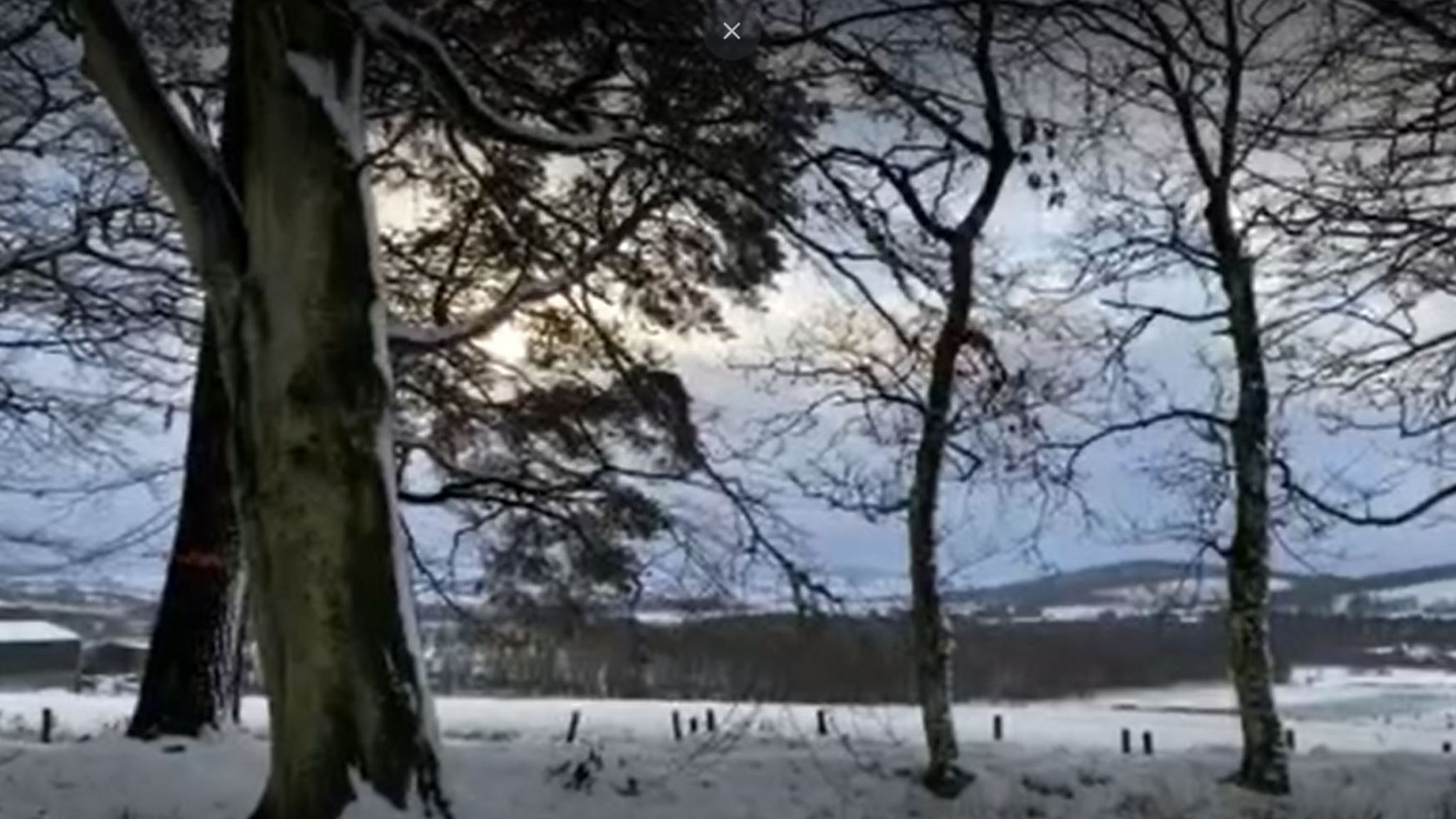 UK weather Cold weather payments triggered amid Arctic blast UK News