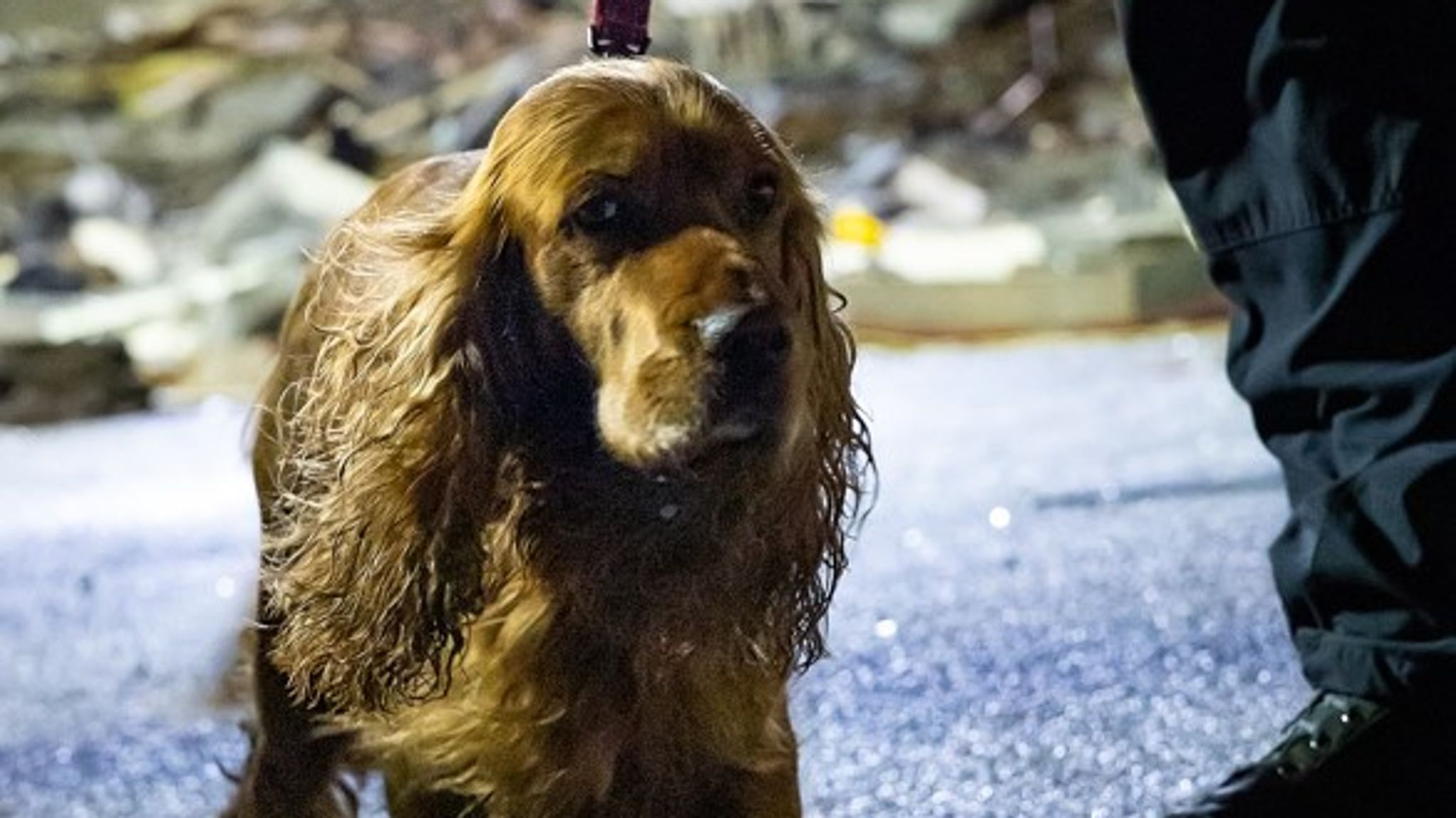 Jersey tower explosion Five people now confirmed to have died UK News Sky News