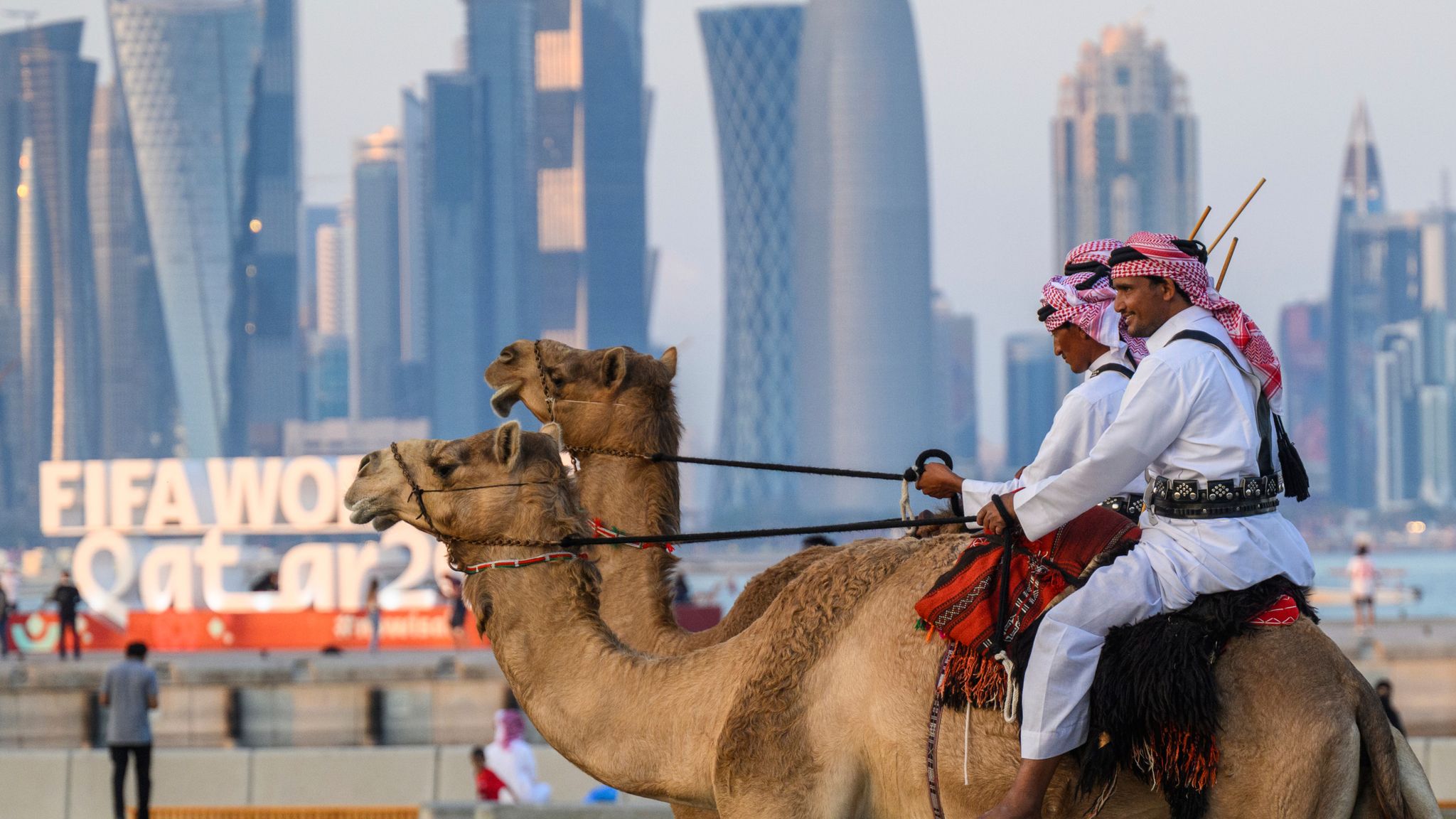 Cuanto cuesta un camello en qatar
