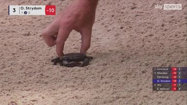 Crab removed from the bunker! | 'Expertly done by the caddie'
