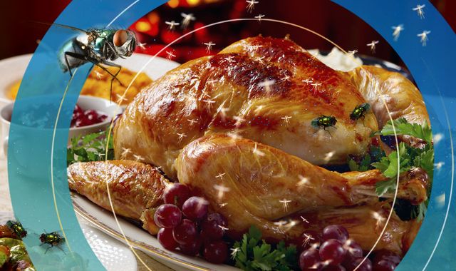 Bah, humbug! How insects could become the backbone of your Christmas dinner - Vimarsana News