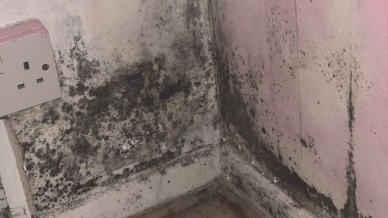 Damp and mould in Natasha&#39;s home. Listen to the Sky News Daily podcast, Mouldy homes: Deaths ‘could happen again’ 