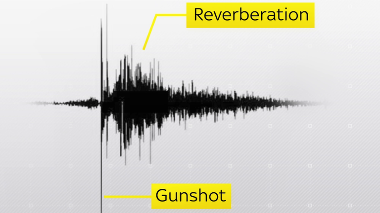 Ateşli silah sesinin ses dalga biçimi, küçük bir ateşli silahtan gelen namlu ağzı patlamasıyla tutarlıydı.  Resim - Beck Audio Adli Tıp