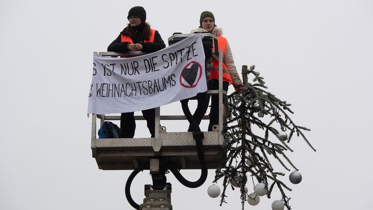 Activists hold onto tip of the tree they removed. Pic: AP