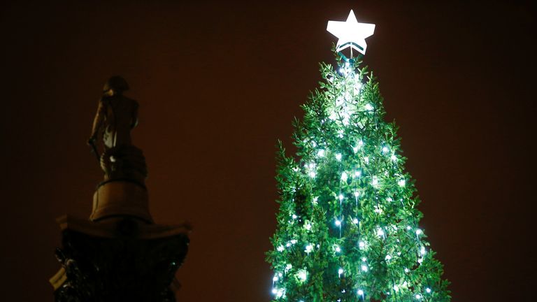 The Trafalgar Square Christmas tree. Pic: Reuters