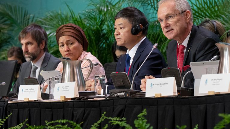 Csaba Korosi, right, 77th President of the United Nations General Assembly, speaks at the opening of the high level segment at the COP15 biodiversity conference as Canada&#39;s Environment Minister, Steven Guilbeault, left, Amina Mohammed, Deputy Secretary General of the United Nations, and Chair Huang Runqiu, Chinese Minister of Ecology and Environment, look on in Montreal, Thursday, Dec. 15, 2022. (Ryan Remiorz/The Canadian Press via AP)