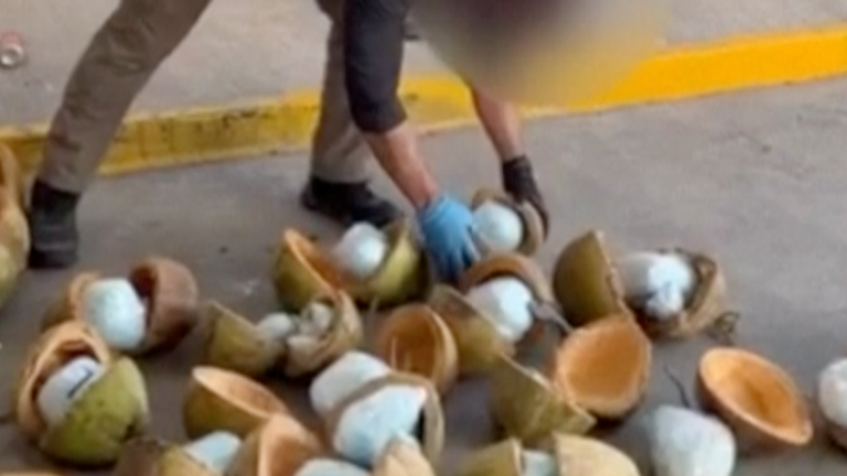 Meksika'da Hindistan cevizine gizlenmiş fentanil hapı bulundu
