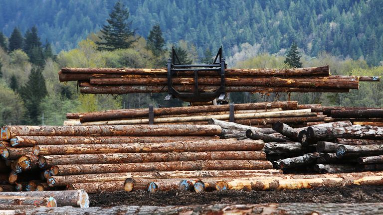 Piles of logs at pictured at Sqomish Forestry LP in Squamish, British Columbia, Canada April 25, 2017. REUTERS/Ben Nelms
