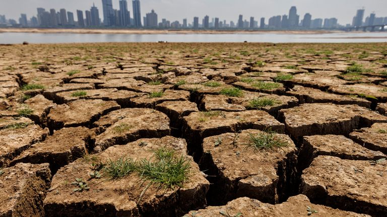 Cracks run through the partially dried-up river bed of the Gan River, a tributary to Poyang Lake during a regional drought in Nanchang, Jiangxi province, China, August 28, 2022