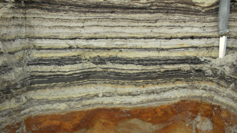 A close-up of organic matter in coastal sediment. The organic layer shows traces of the rich flora and insect groups that lived in Copenhagen, North Greenland, 2 million years ago.