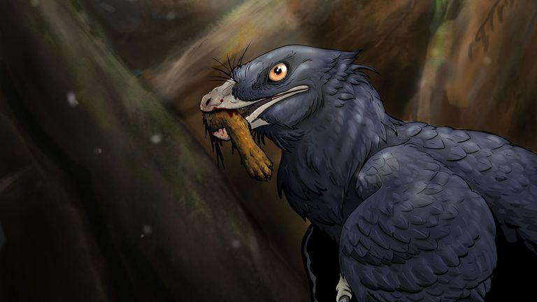 Microraptor