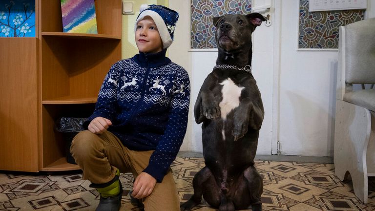 A boy poses for photo with an American Pit Bull Terrier "Bice" in the Center for Social and Psychological Rehabilitation in Boyarka close Kyiv, Ukraine, Wednesday, Dec. 7, 2022. Bice is an American pit bull terrier with an important and sensitive job in Ukraine
