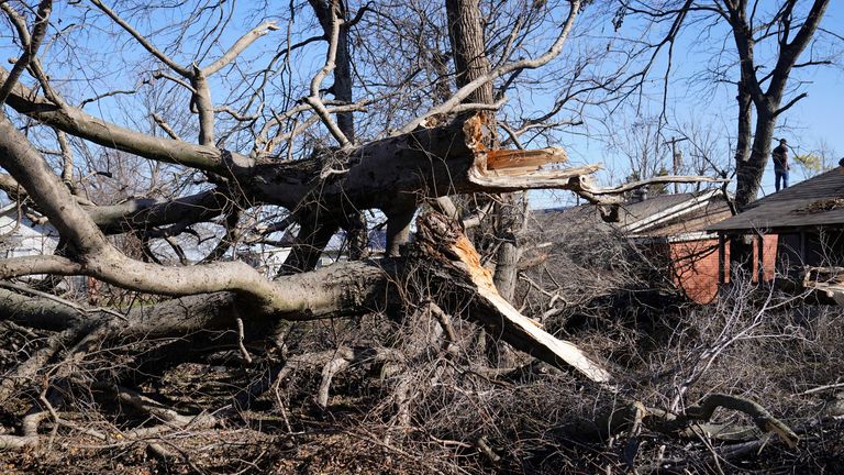 Damian Reinhold surveys damage to trees brought down by a tornado outside his friend&#39;s home, Tuesday, Dec. 13, 2022, in Wayne, Okla. (AP Photo/Sue Ogrocki)