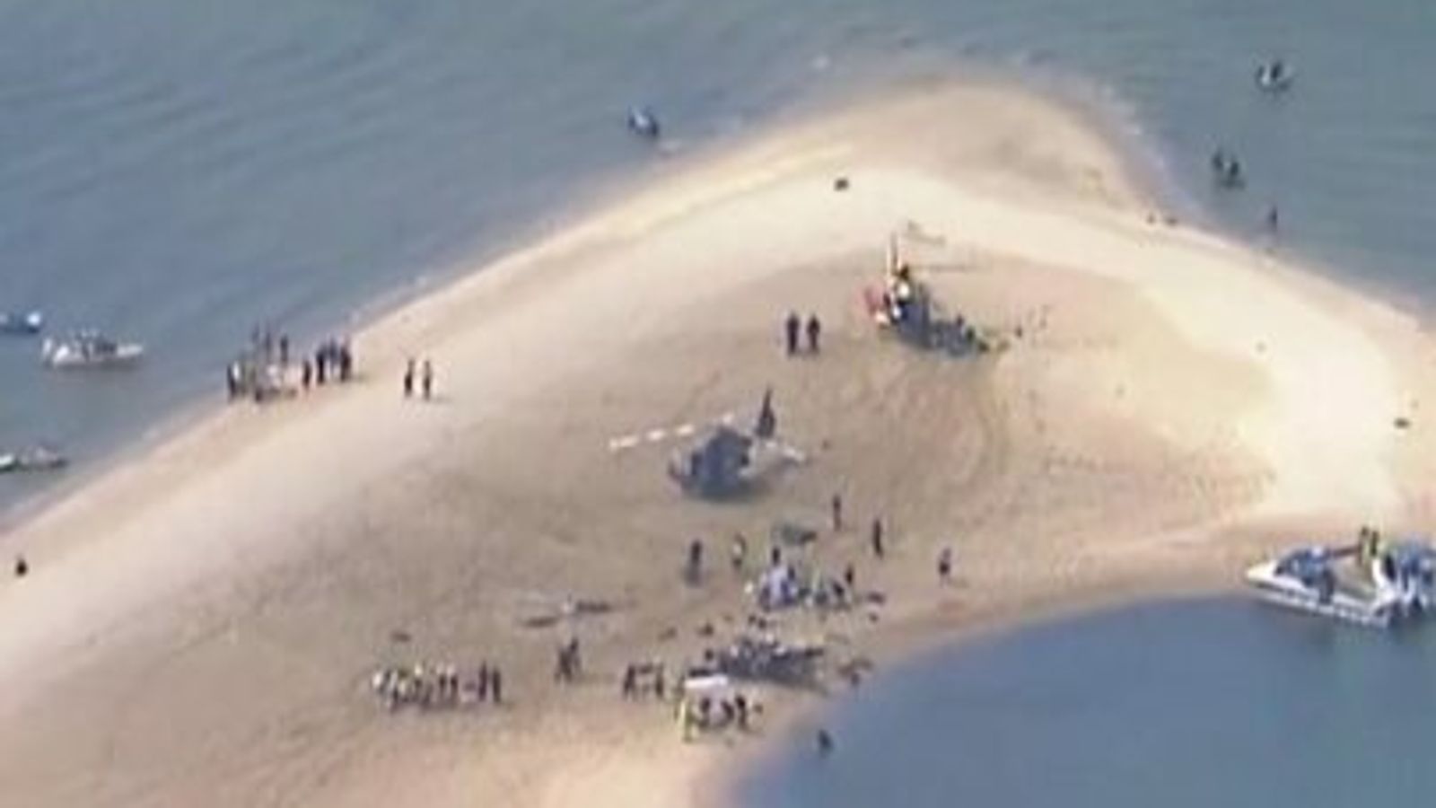 Queensland helicopter crash Four dead after midair collision near Sea