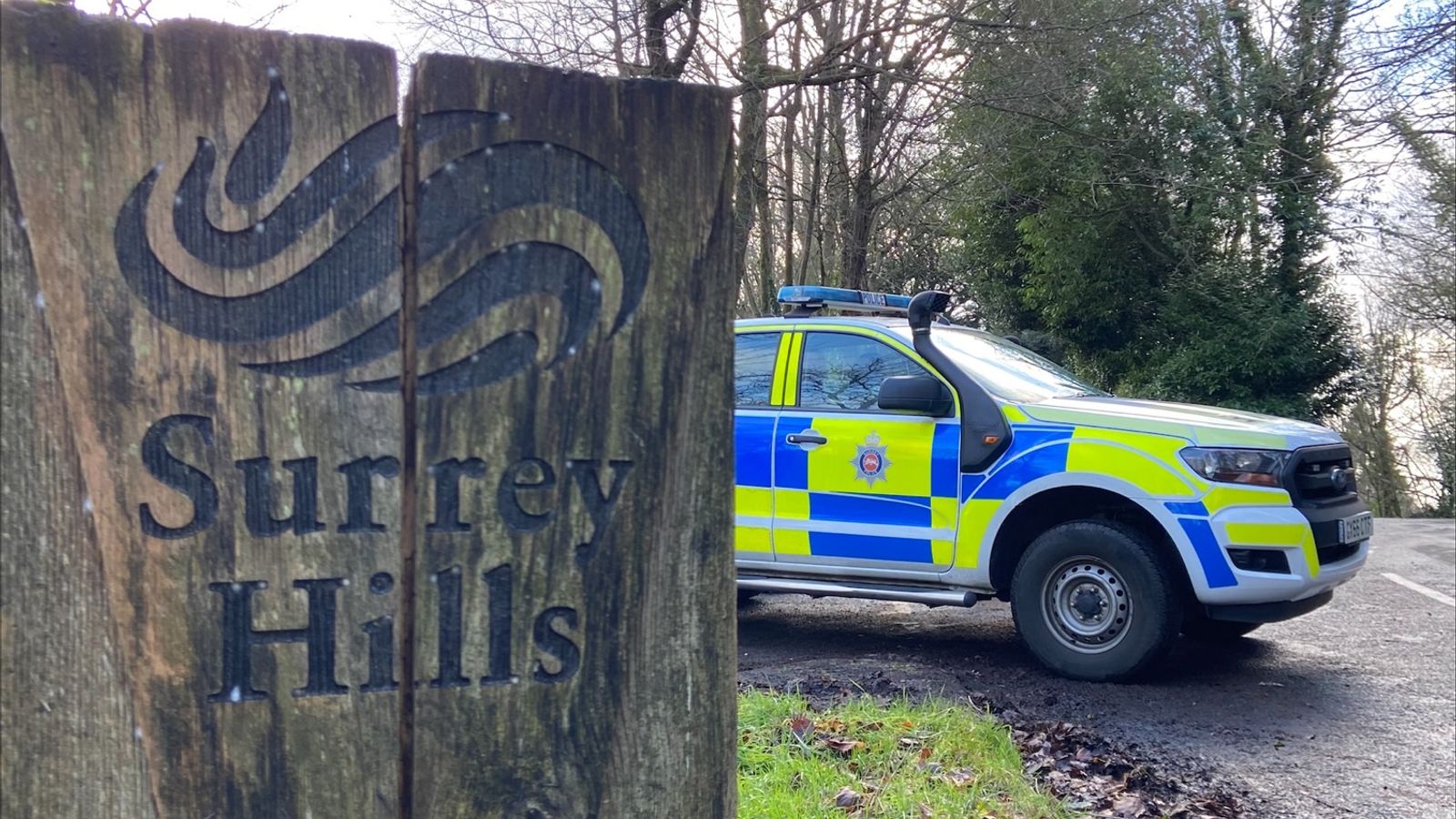 Surrey dog attack Family of dog walker mauled to death in Caterham say