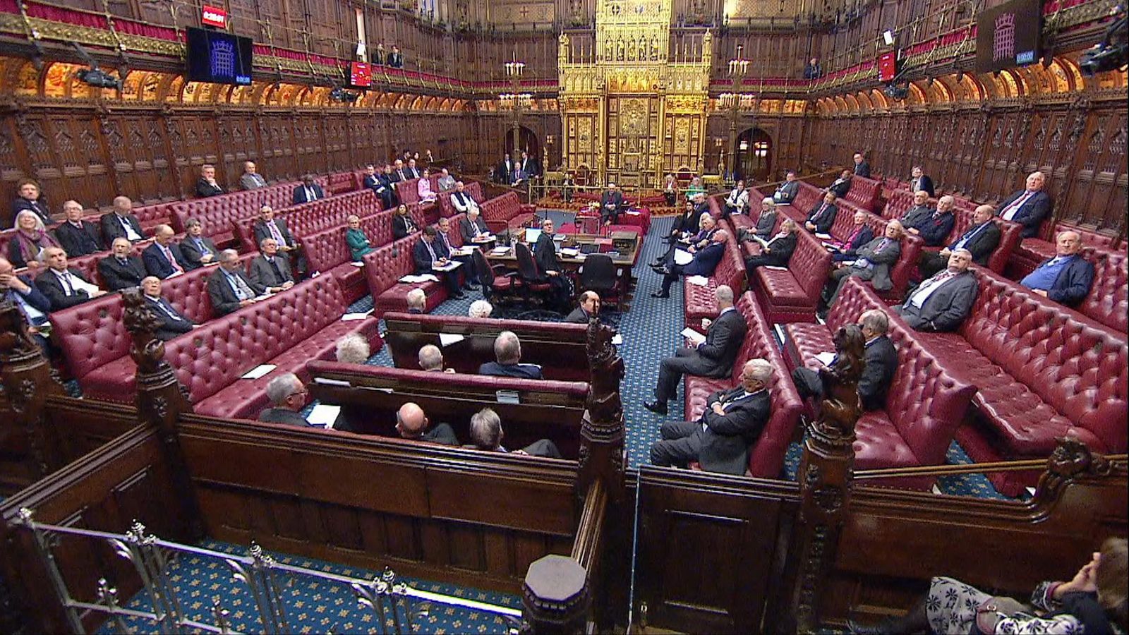 Peer raises prospect House of Lords could be replaced by bots 'with deeper knowledge and lower running costs'